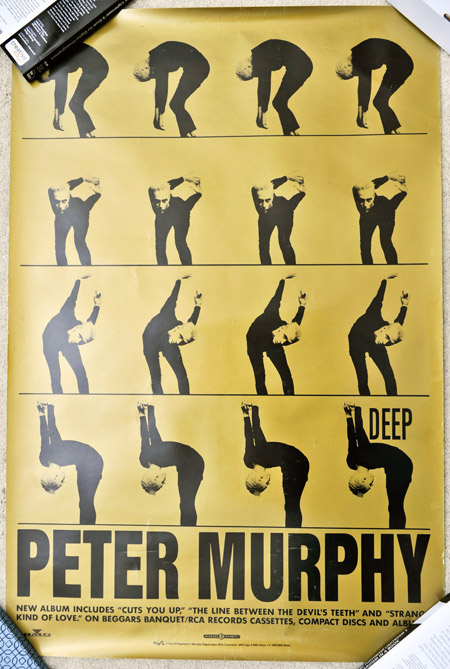peter-murphy-ad